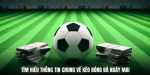 Tổng quan về kèo bóng đá tại 8xbet