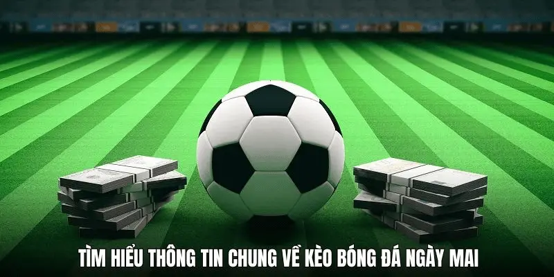 Tổng quan về kèo bóng đá tại 8xbet